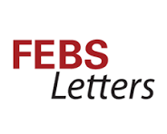 FEBS Letters